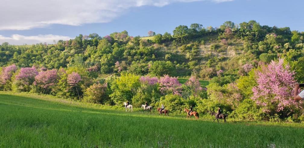 3 Hills Boutique - The Ranch Experience Otel Trilofos Dış mekan fotoğraf